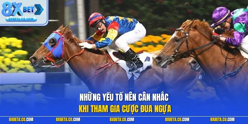 Những yếu tố nên cân nhắc khi tham gia cược đua ngựa